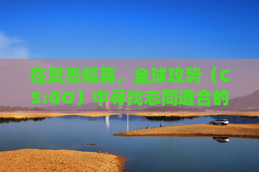 在反恐精英，全球攻势（CS:GO）中寻找志同道合的好友,cs go怎么搜索好友