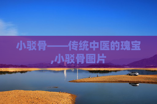 小驳骨——传统中医的瑰宝,小驳骨图片