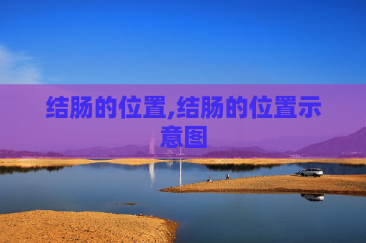 结肠的位置,结肠的位置示意图