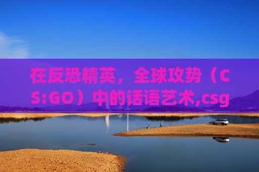 在反恐精英，全球攻势（CS:GO）中的话语艺术,csgo常用话语