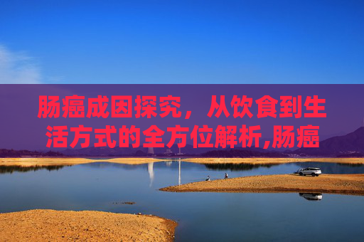 肠癌成因探究，从饮食到生活方式的全方位解析,肠癌是什么原因造成的好治吗