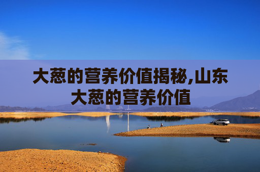 大葱的营养价值揭秘,山东大葱的营养价值