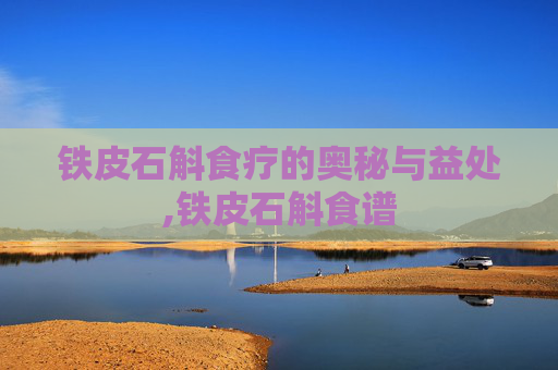 铁皮石斛食疗的奥秘与益处,铁皮石斛食谱