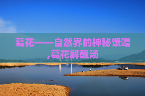 葛花——自然界的神秘馈赠,葛花解酲汤