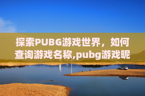 探索PUBG游戏世界，如何查询游戏名称,pubg游戏昵称查询