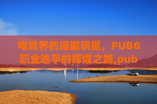 电竞界的璀璨明星，PUBG职业选手的辉煌之路,pubg知名选手