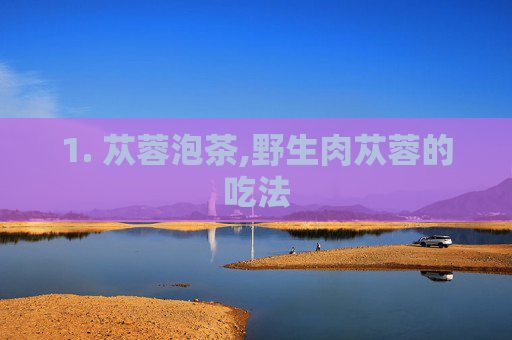 1. 苁蓉泡茶,野生肉苁蓉的吃法