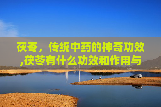 茯苓,传统中药的神奇功效,茯苓有什么功效和作用与主治 茯苓,传统中药的神奇功效,茯苓有什么功效和作用与主治