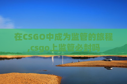 在CSGO中成为监管的旅程,csgo上监管必封吗