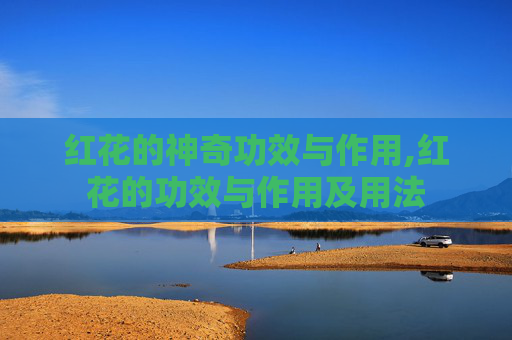 红花的神奇功效与作用,红花的功效与作用及用法