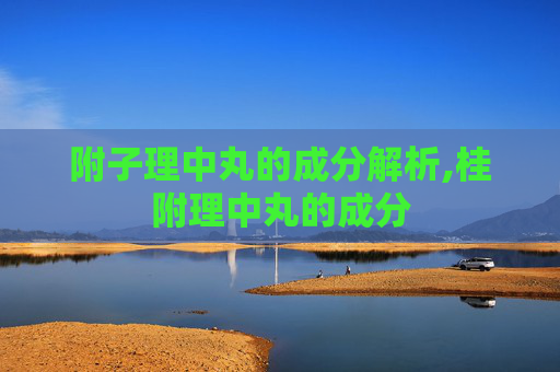 附子理中丸的成分解析,桂附理中丸的成分