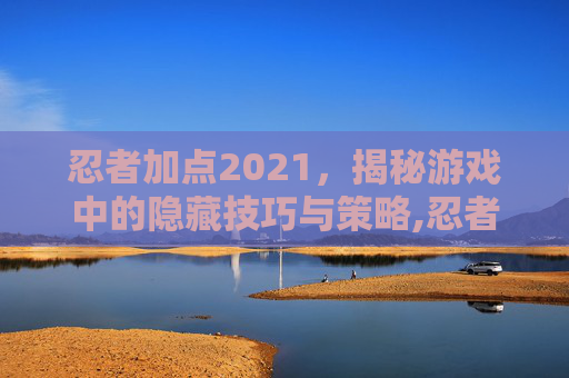 忍者加点2021，揭秘游戏中的隐藏技巧与策略,忍者加点2020