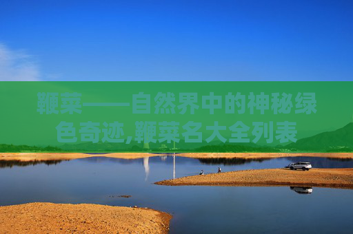 鞭菜——自然界中的神秘绿色奇迹,鞭菜名大全列表