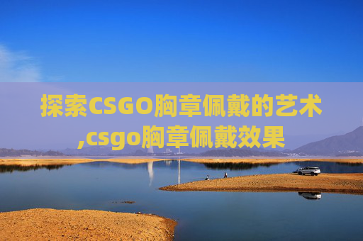 探索CSGO胸章佩戴的艺术,csgo胸章佩戴效果