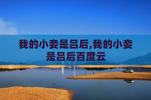 我的小妾是吕后,我的小妾是吕后百度云