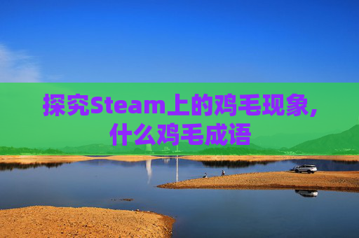 探究Steam上的鸡毛现象,什么鸡毛成语