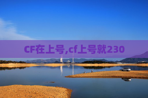 CF在上号,cf上号就230