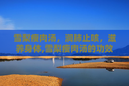 雪梨瘦肉汤，润肺止咳，滋养身体,雪梨瘦肉汤的功效和作用