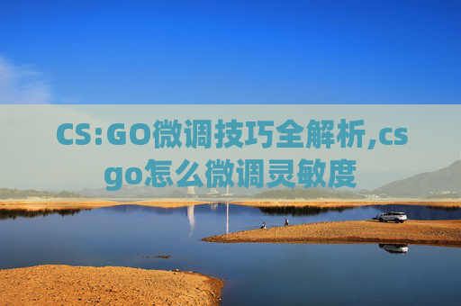 CS:GO微调技巧全解析,csgo怎么微调灵敏度