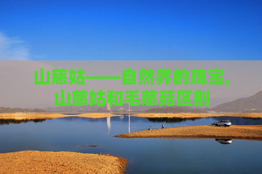 山慈姑——自然界的瑰宝,山慈姑和毛慈菇区别