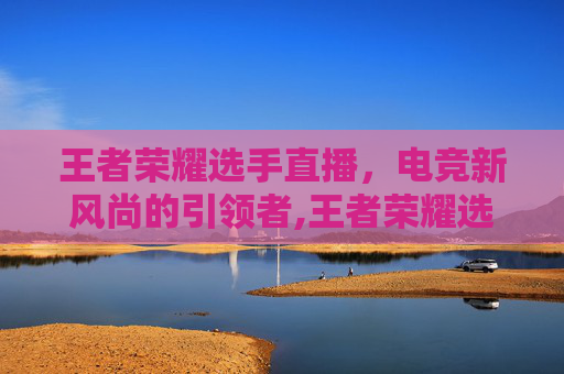 王者荣耀选手直播，电竞新风尚的引领者,王者荣耀选手直播不见了