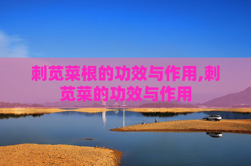 刺苋菜根的功效与作用,刺苋菜的功效与作用