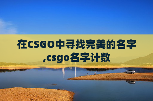 在CSGO中寻找完美的名字,csgo名字计数