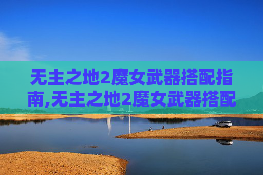 无主之地2魔女武器搭配指南,无主之地2魔女武器搭配攻略