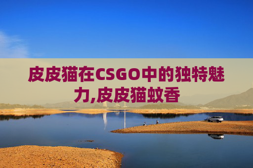 皮皮猫在CSGO中的独特魅力,皮皮猫蚊香