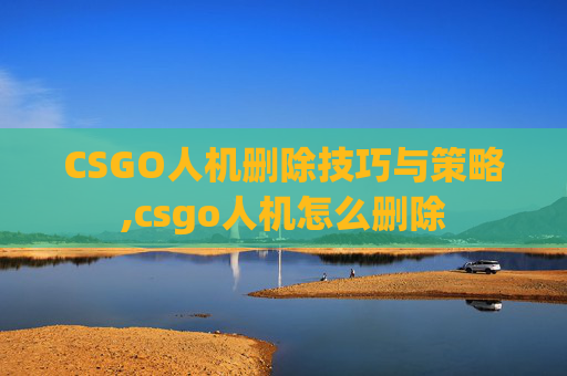 CSGO人机删除技巧与策略,csgo人机怎么删除