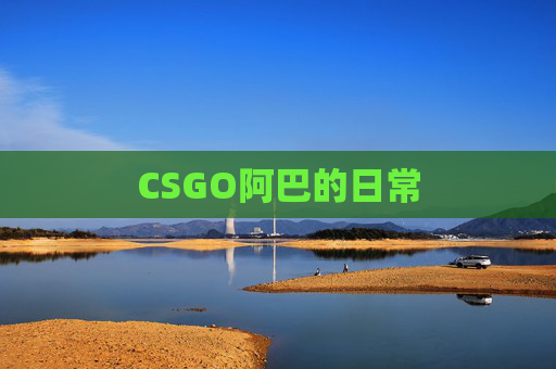 CSGO阿巴的日常