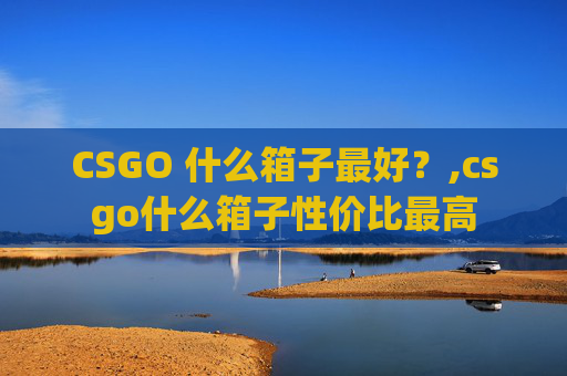 CSGO 什么箱子最好？,csgo什么箱子性价比最高