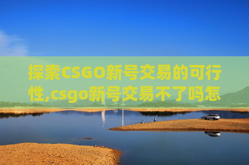 探索CSGO新号交易的可行性,csgo新号交易不了吗怎么办