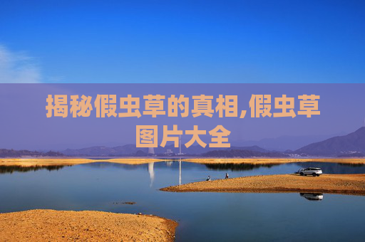揭秘假虫草的真相,假虫草图片大全