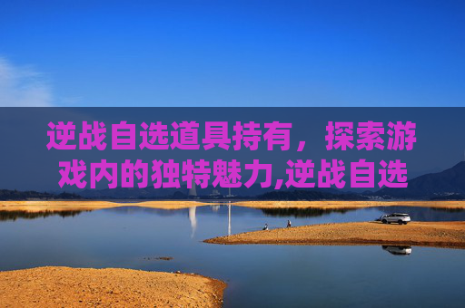 逆战自选道具持有，探索游戏内的独特魅力,逆战自选道具持有率怎么算