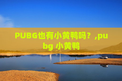 PUBG也有小黄鸭吗？,pubg 小黄鸭