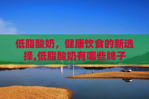 低脂酸奶，健康饮食的新选择,低脂酸奶有哪些牌子