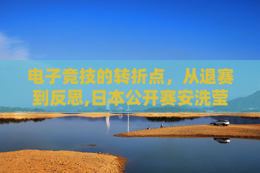 电子竞技的转折点，从退赛到反思,日本公开赛安洗莹退赛