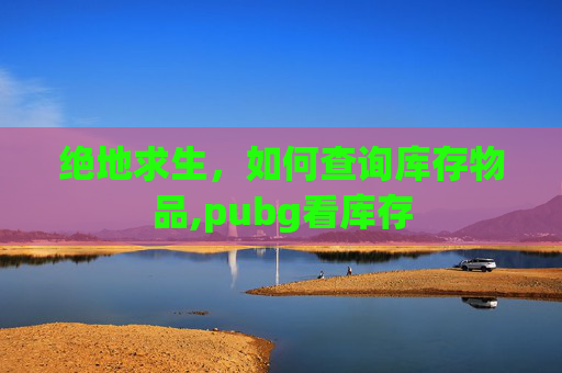 绝地求生，如何查询库存物品,pubg看库存