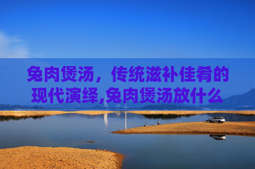 兔肉煲汤，传统滋补佳肴的现代演绎,兔肉煲汤放什么煲好呢