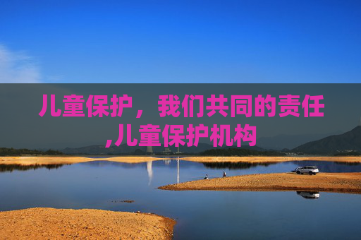 儿童保护，我们共同的责任,儿童保护机构