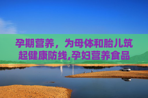 孕期营养，为母体和胎儿筑起健康防线,孕妇营养食品0-6个月的准妈妈专用
