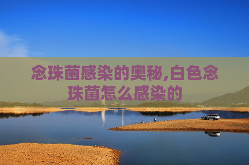 念珠菌感染的奥秘,白色念珠菌怎么感染的