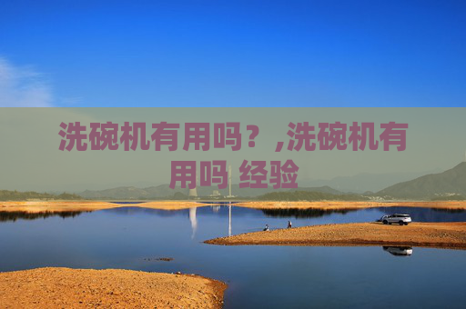 洗碗机有用吗？,洗碗机有用吗 经验