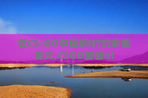 在CS:GO中理解NT的多重含义,CSGO里面nt