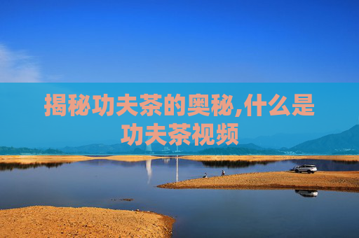 揭秘功夫茶的奥秘,什么是功夫茶视频