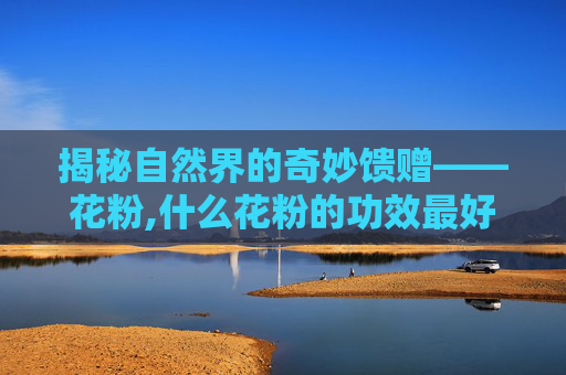 揭秘自然界的奇妙馈赠——花粉,什么花粉的功效最好