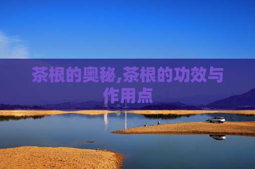 茶根的奥秘,茶根的功效与作用点