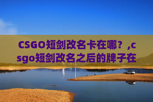 CSGO短剑改名卡在哪？,csgo短剑改名之后的牌子在哪