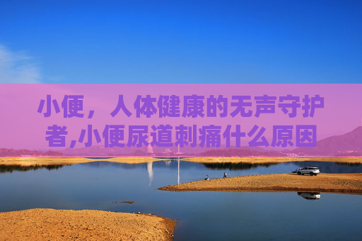 小便，人体健康的无声守护者,小便尿道刺痛什么原因